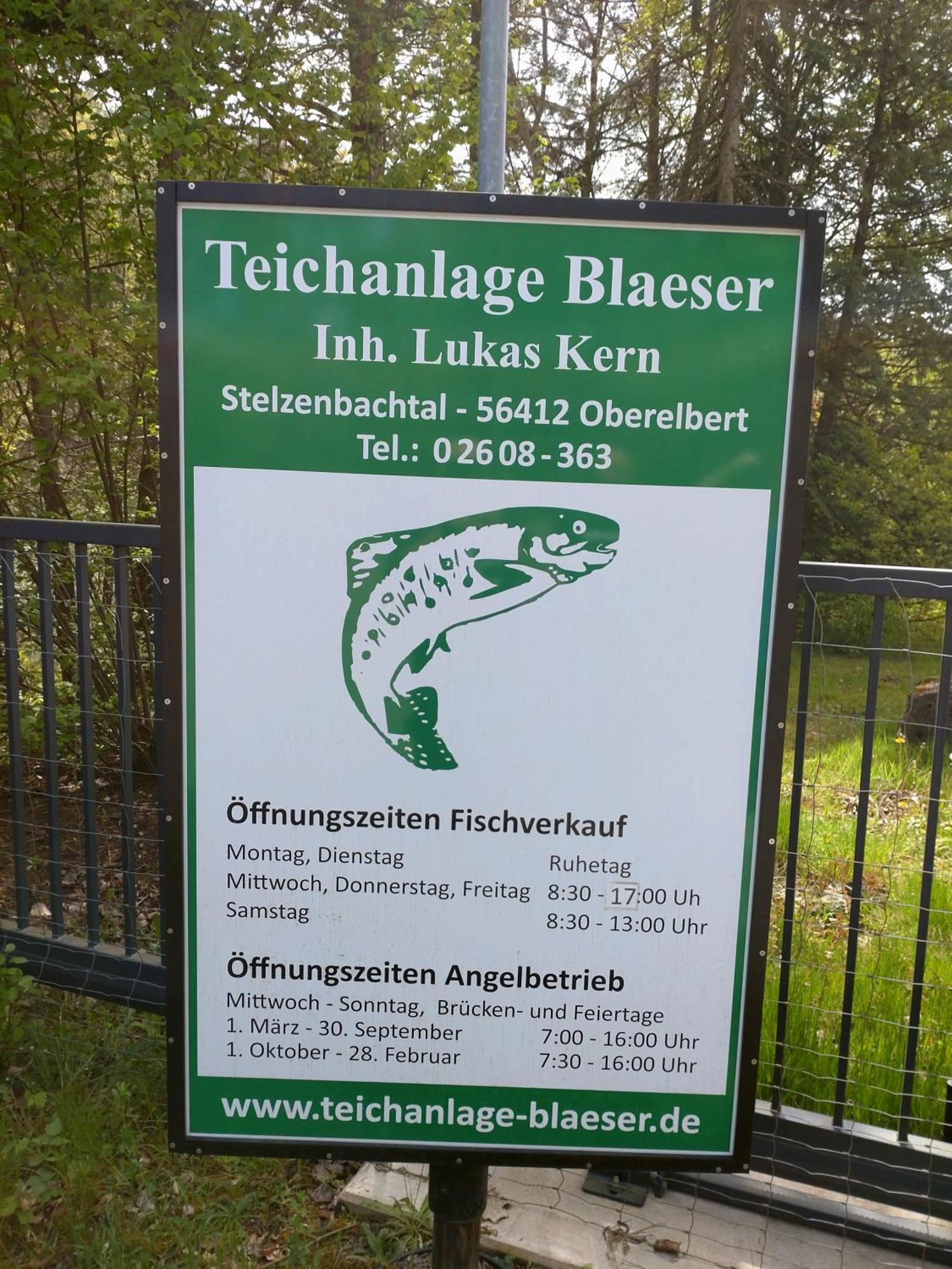 Gaestezimmer M. Schubert Oberelbert Eksteriør billede